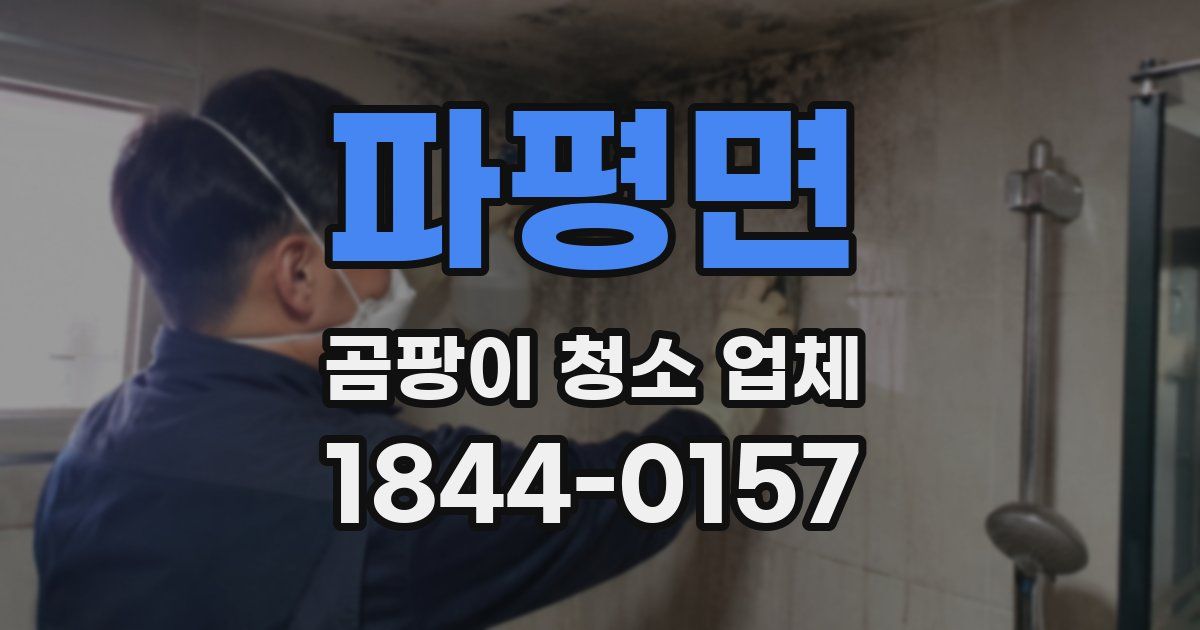 파평면 곰팡이 청소 업체