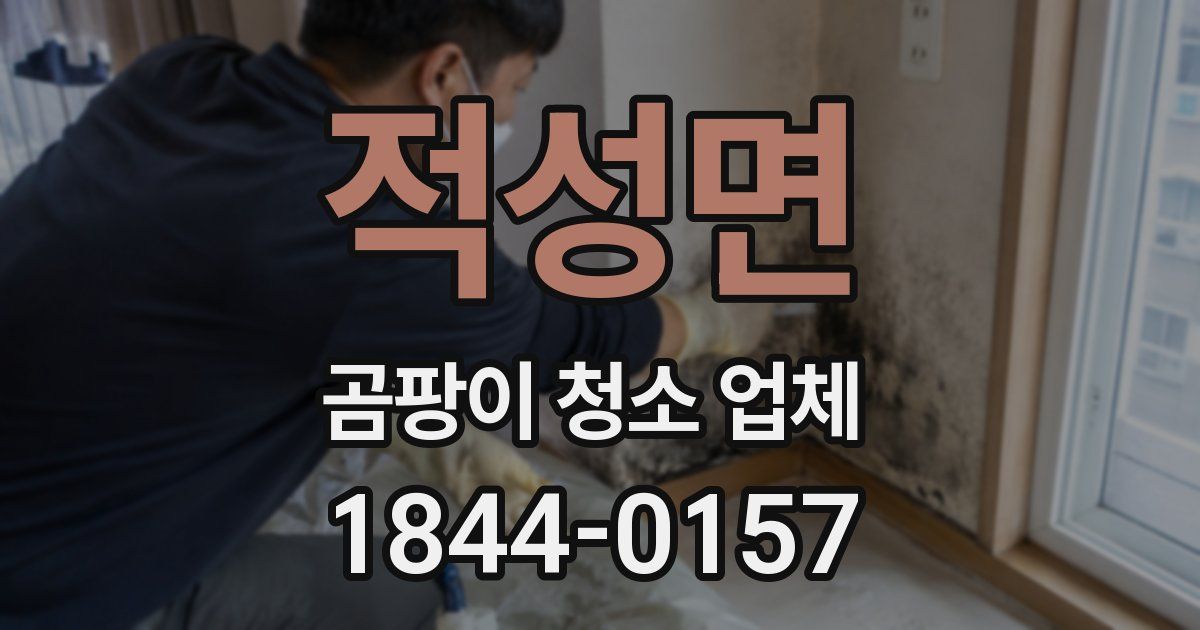 적성면 곰팡이 청소 업체