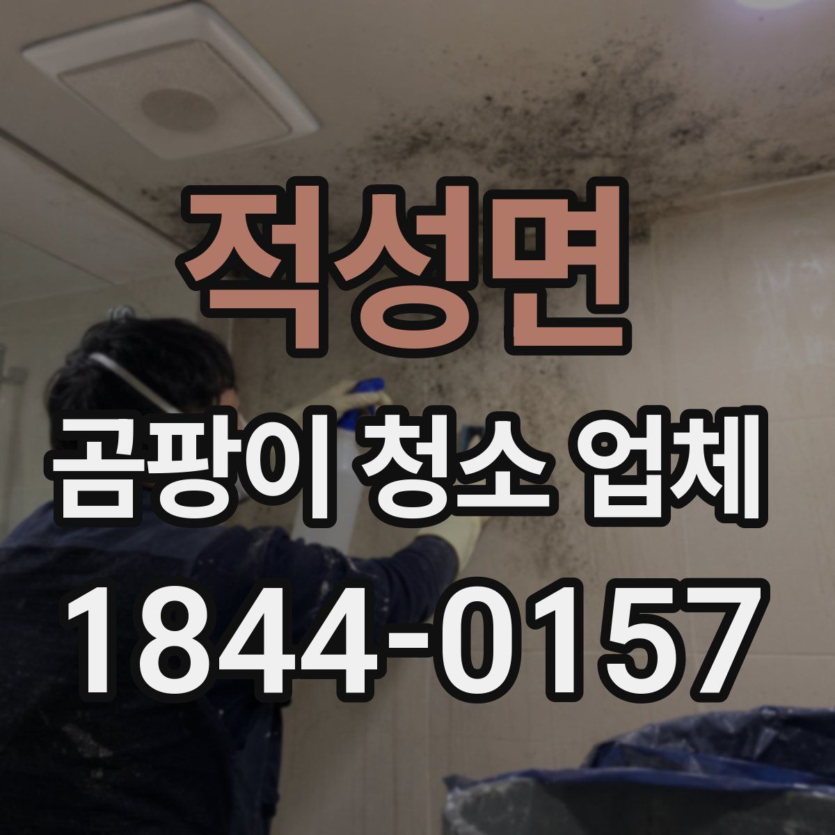 적성면 곰팡이 청소 업체
