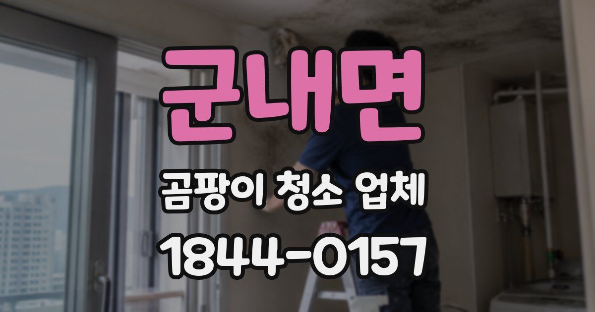군내면 곰팡이 청소 업체