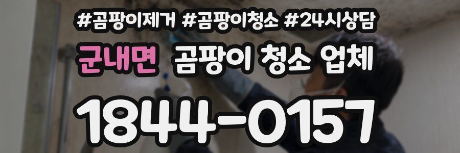 군내면 곰팡이 청소 업체
