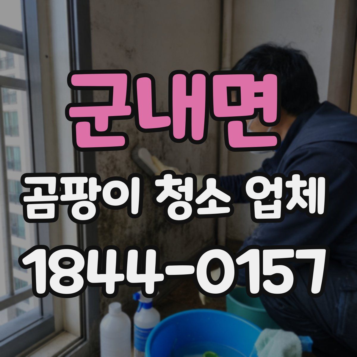 군내면 곰팡이 청소 업체