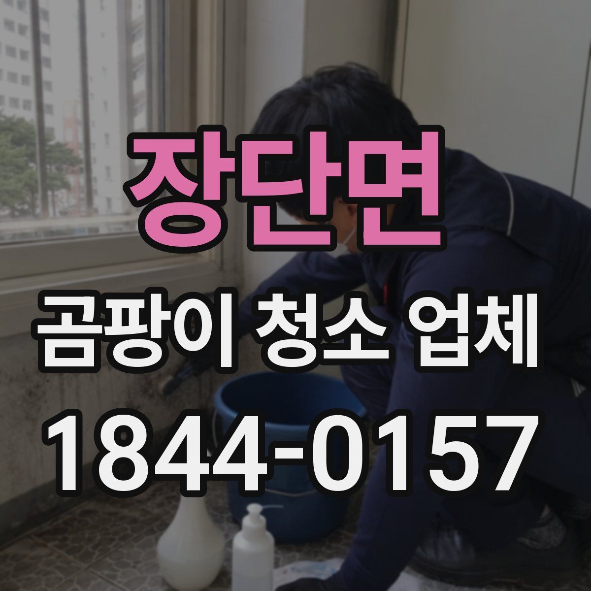 장단면 곰팡이 청소 업체