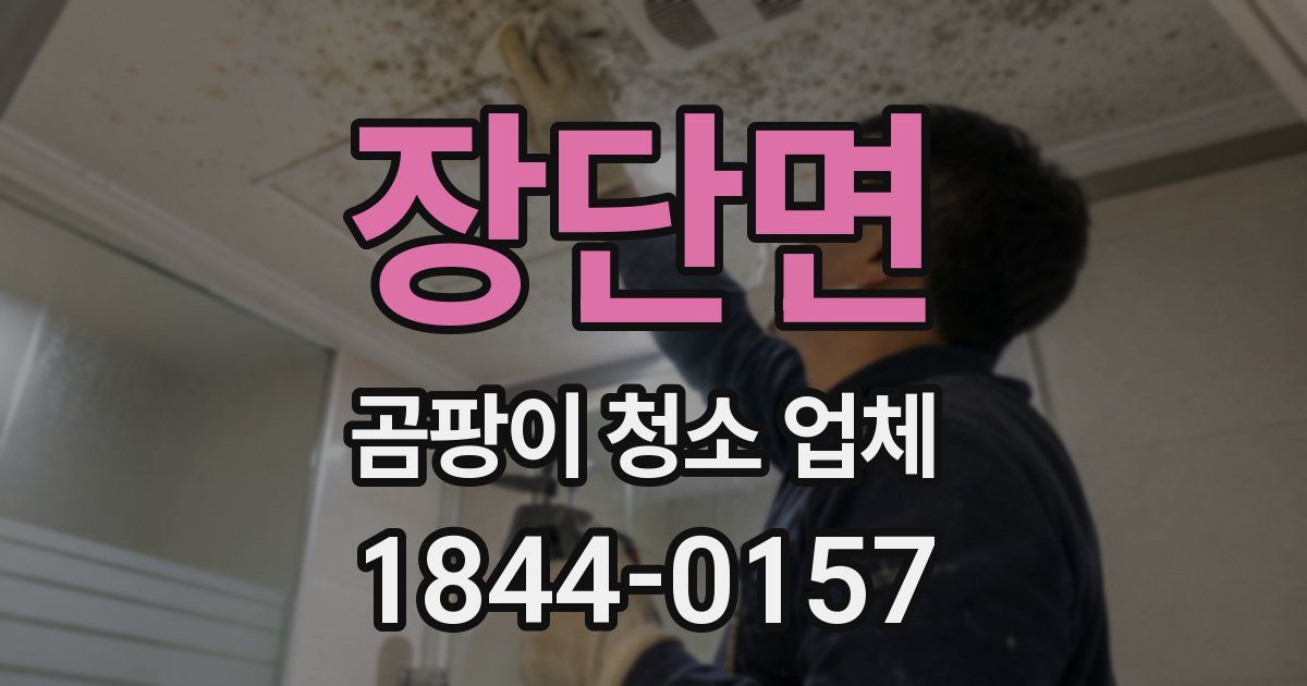 장단면 곰팡이 청소 업체