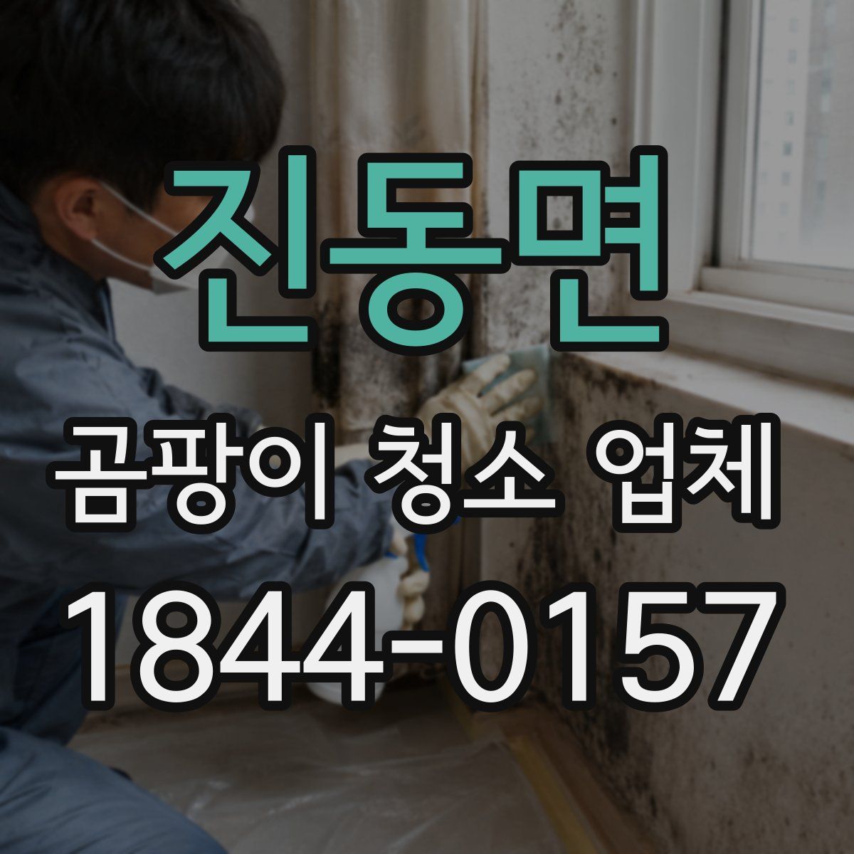 진동면 곰팡이 청소 업체