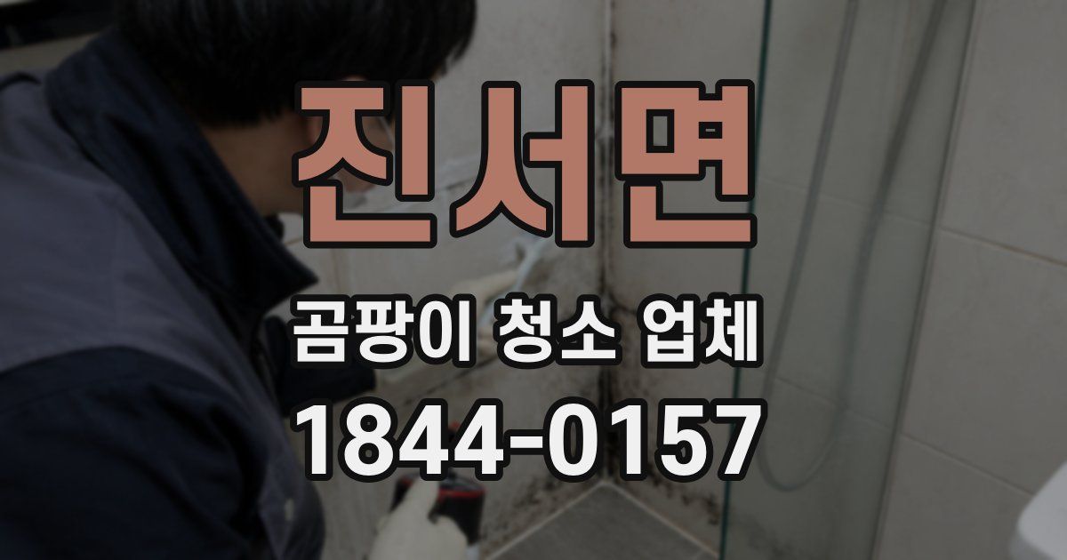 진서면 곰팡이 청소 업체
