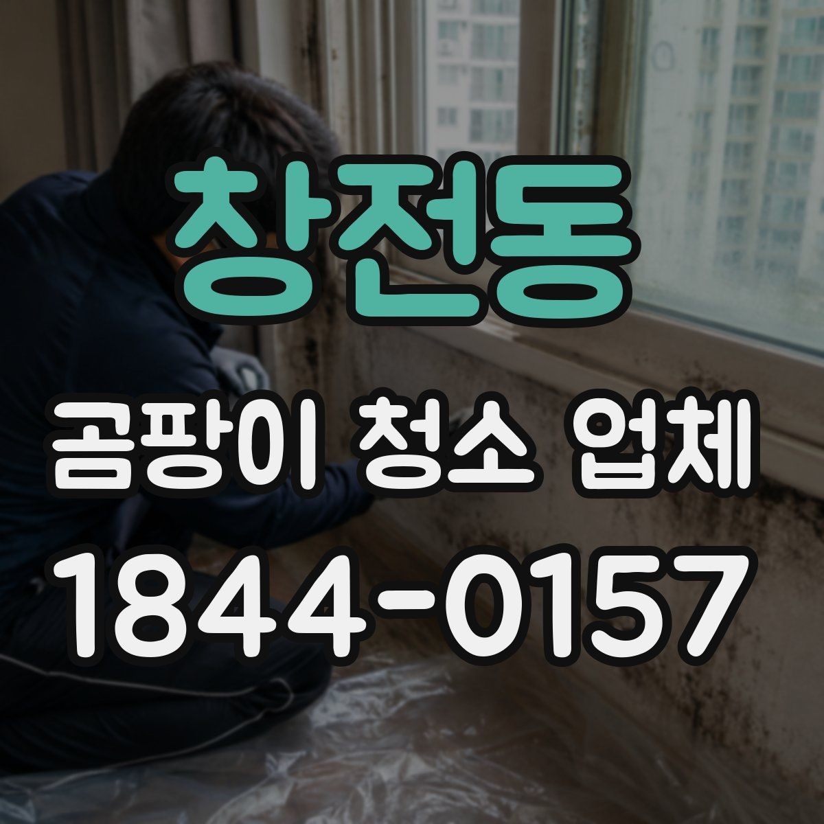 창전동 곰팡이 청소 업체 새집과 오래된 집의 곰팡이 관리 차이