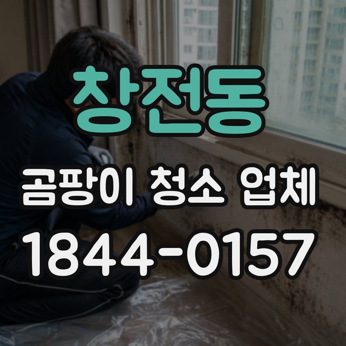 창전동 곰팡이 청소 업체