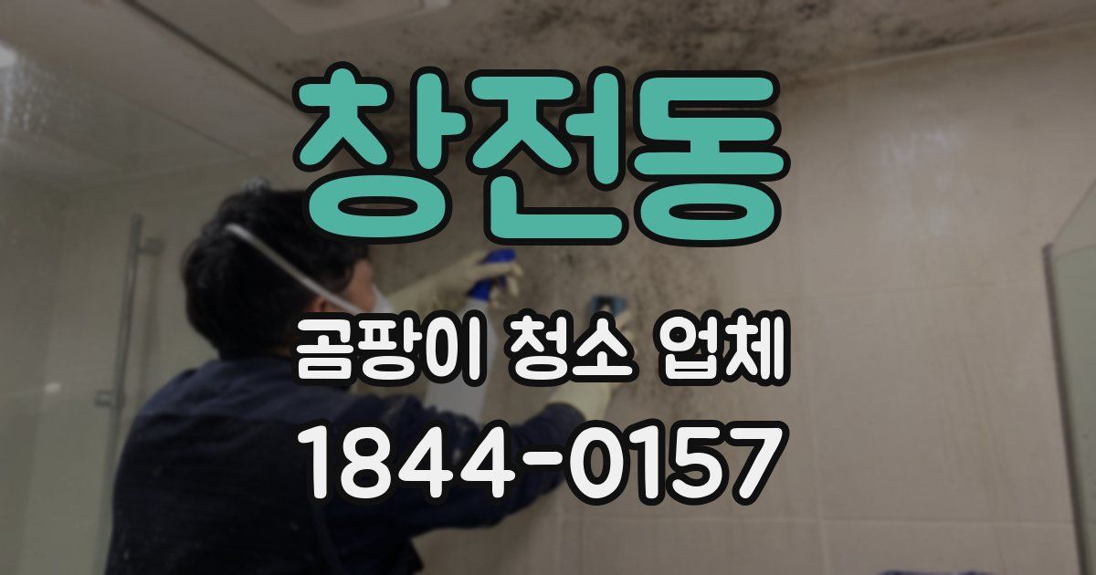 창전동 곰팡이 청소 업체