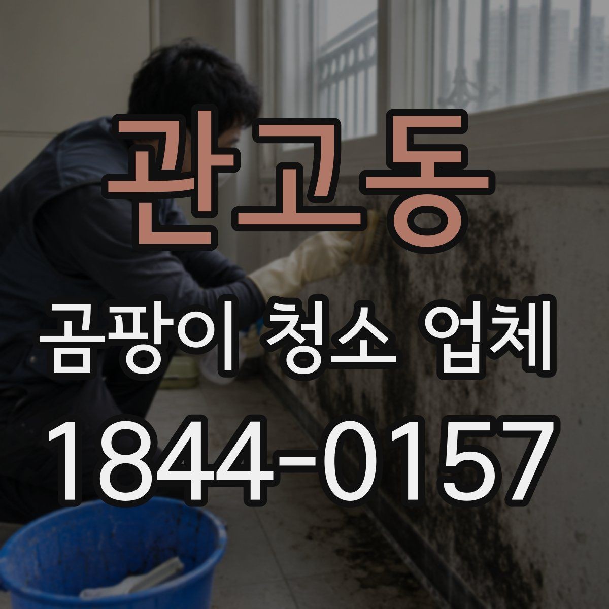 관고동 곰팡이 청소 업체 작업 순서와 오염 심한 구역 확인법