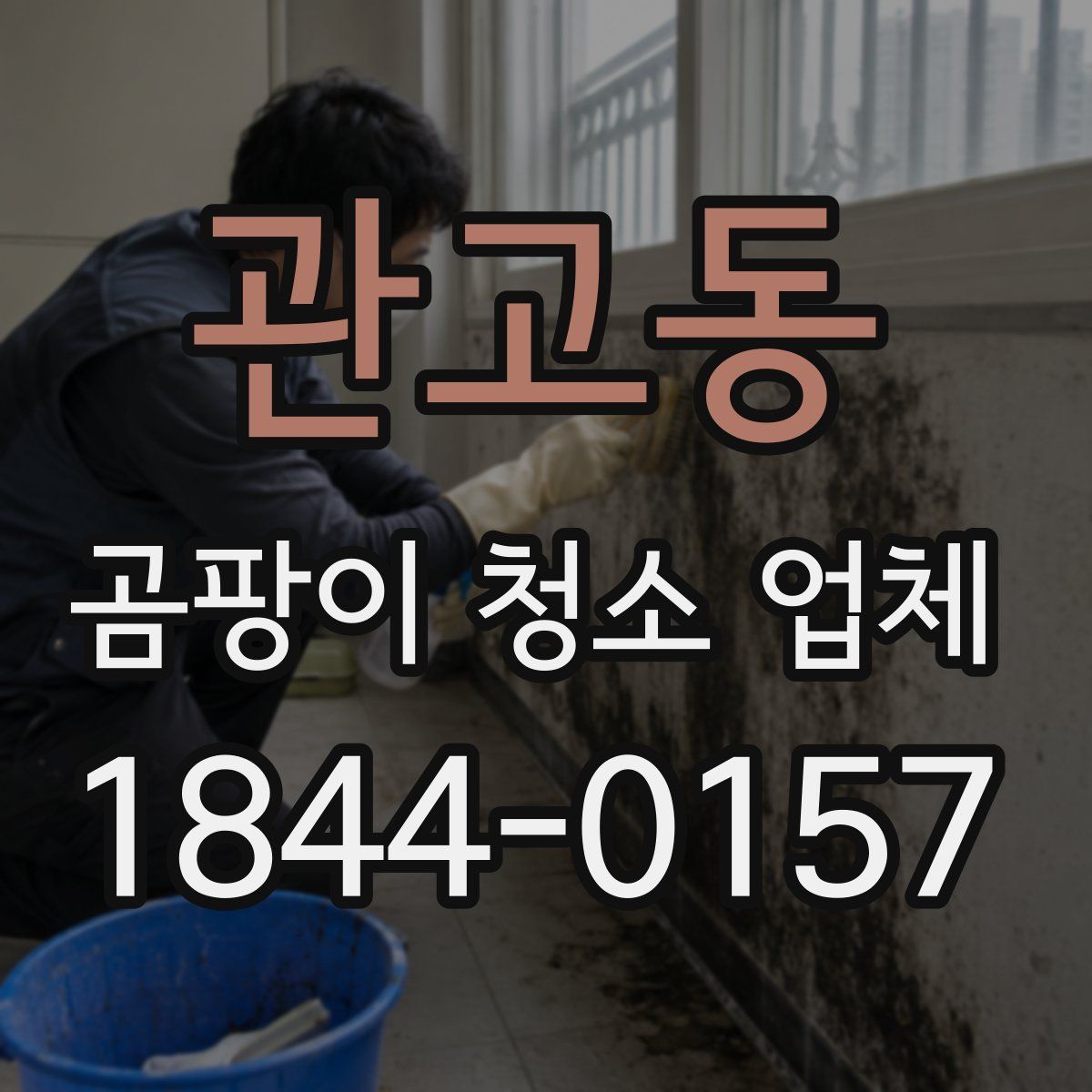 관고동 곰팡이 청소 업체