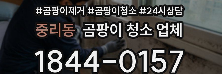 중리동 곰팡이 청소 업체