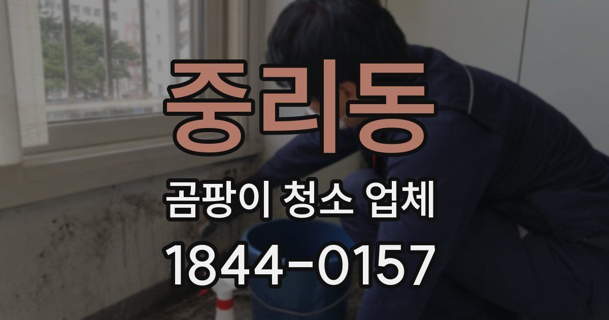 중리동 곰팡이 청소 업체