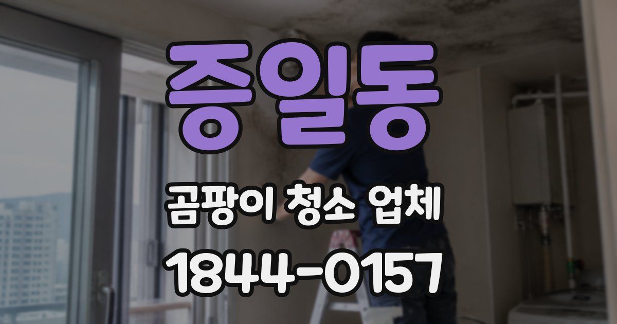 증일동 곰팡이 청소 업체