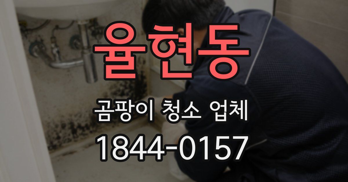 율현동 곰팡이 청소 업체