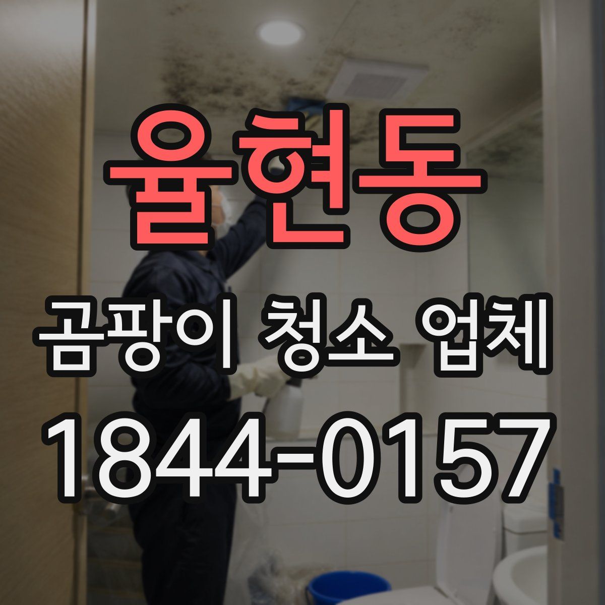 율현동 곰팡이 청소 업체