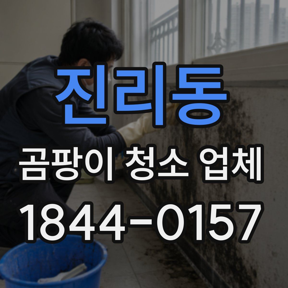 진리동 곰팡이 청소 업체