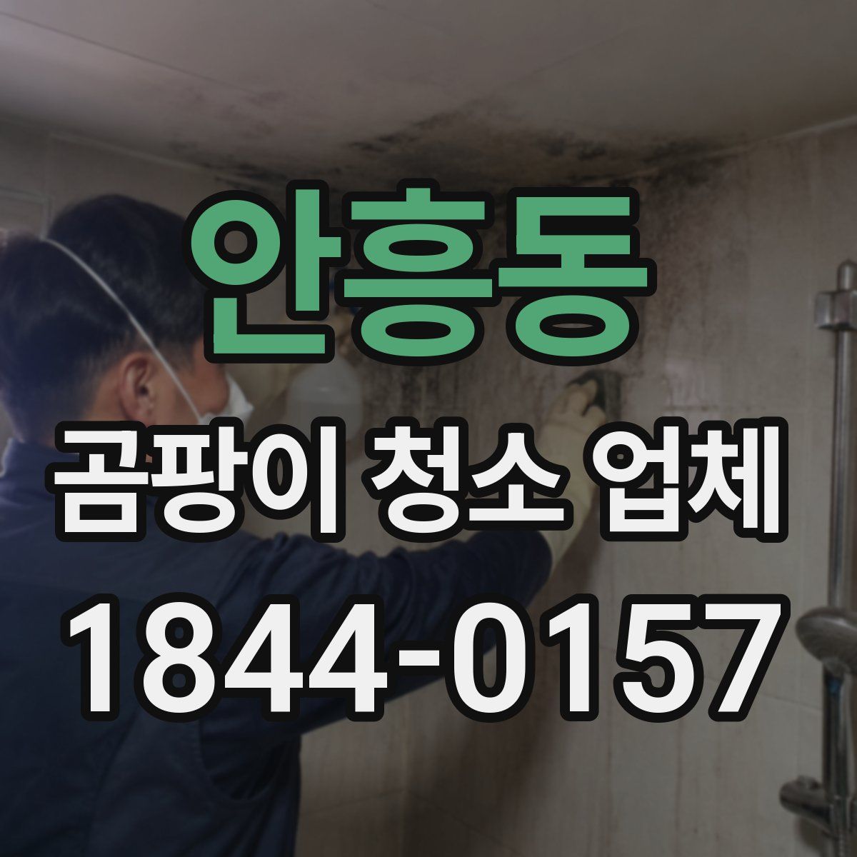 안흥동 곰팡이 청소 업체
