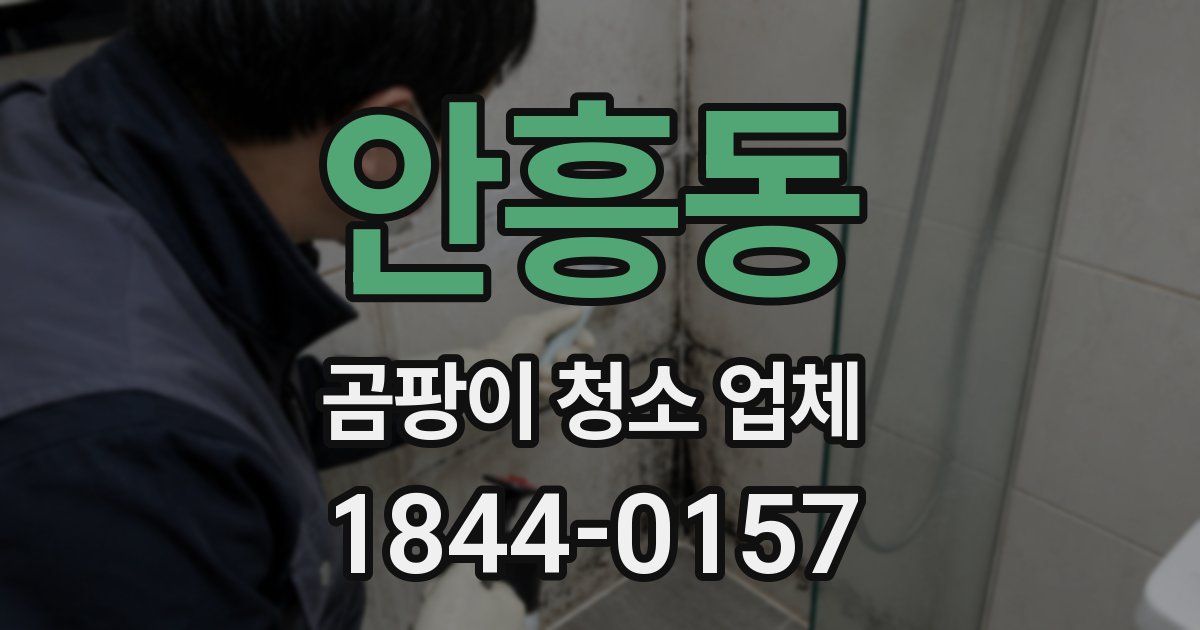 안흥동 곰팡이 청소 업체