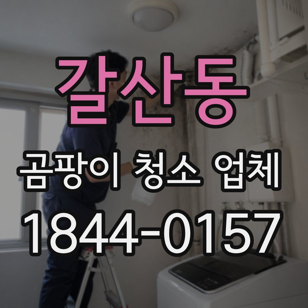 갈산동 곰팡이 청소 업체