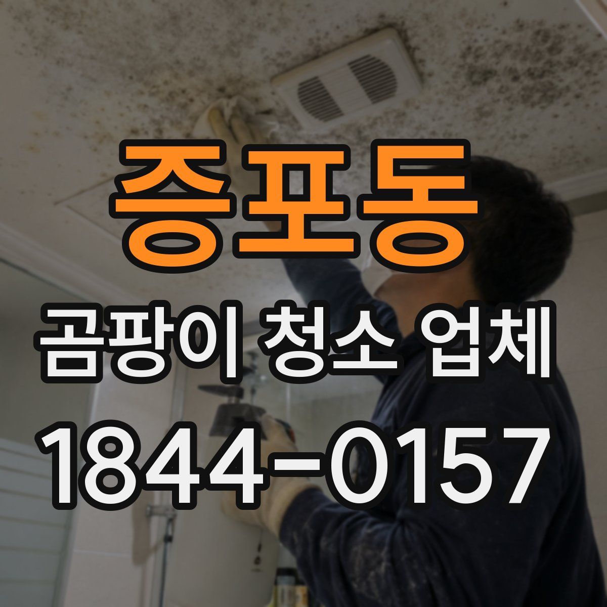 증포동 곰팡이 청소 업체