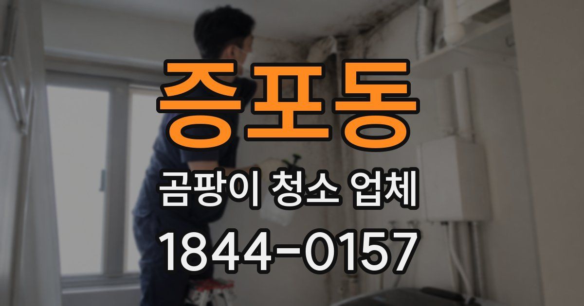증포동 곰팡이 청소 업체