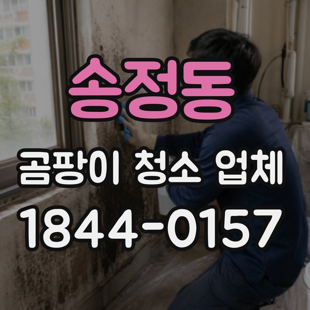 송정동 곰팡이 청소 업체