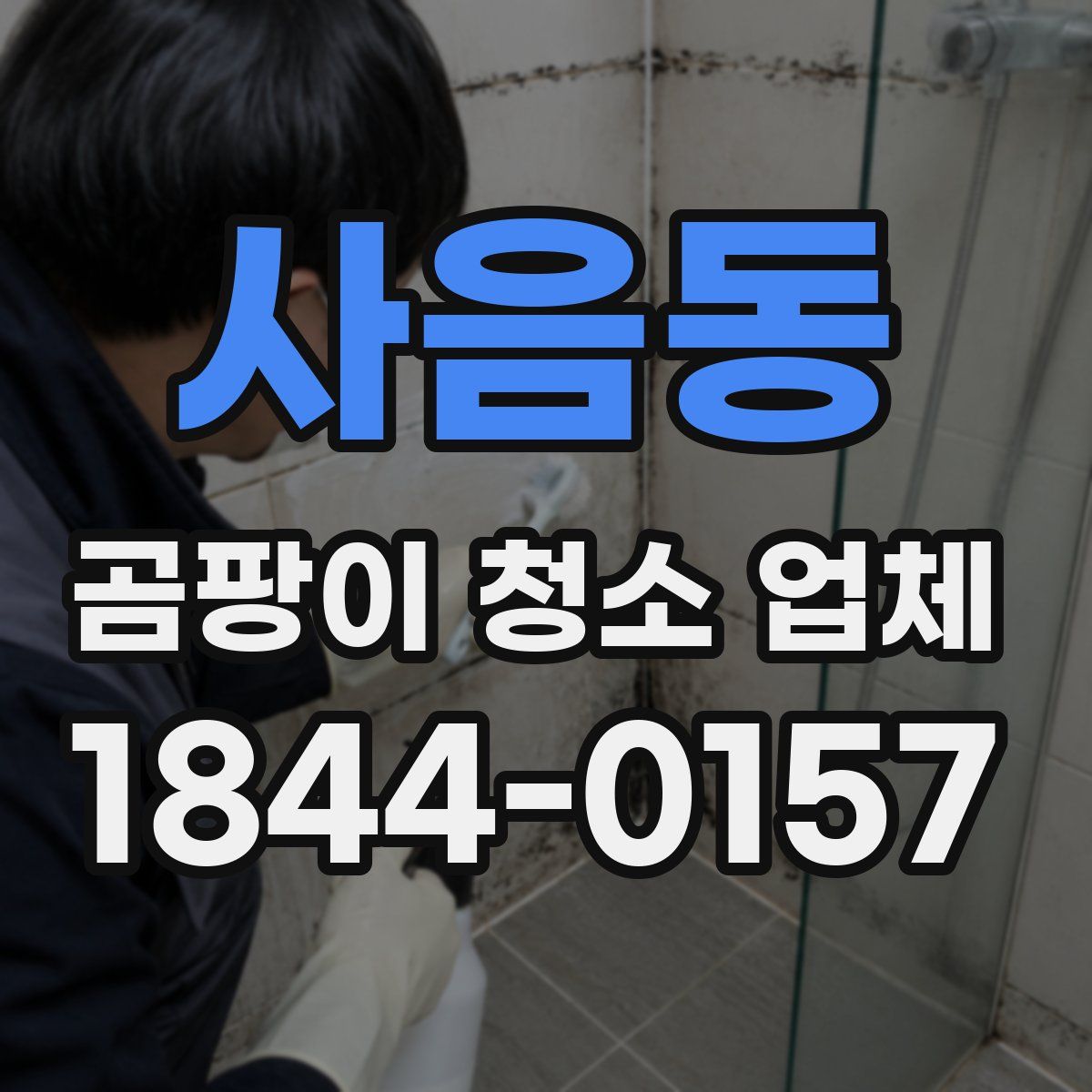 사음동 곰팡이 청소 업체