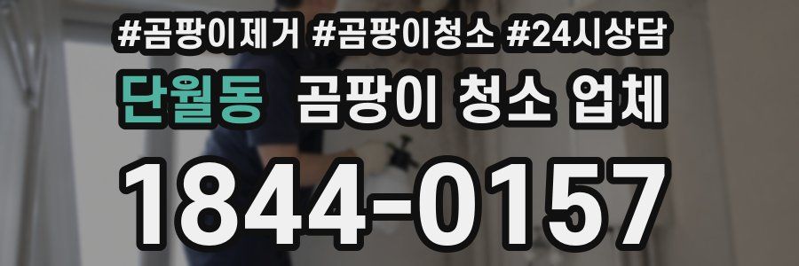 단월동 곰팡이 청소 업체
