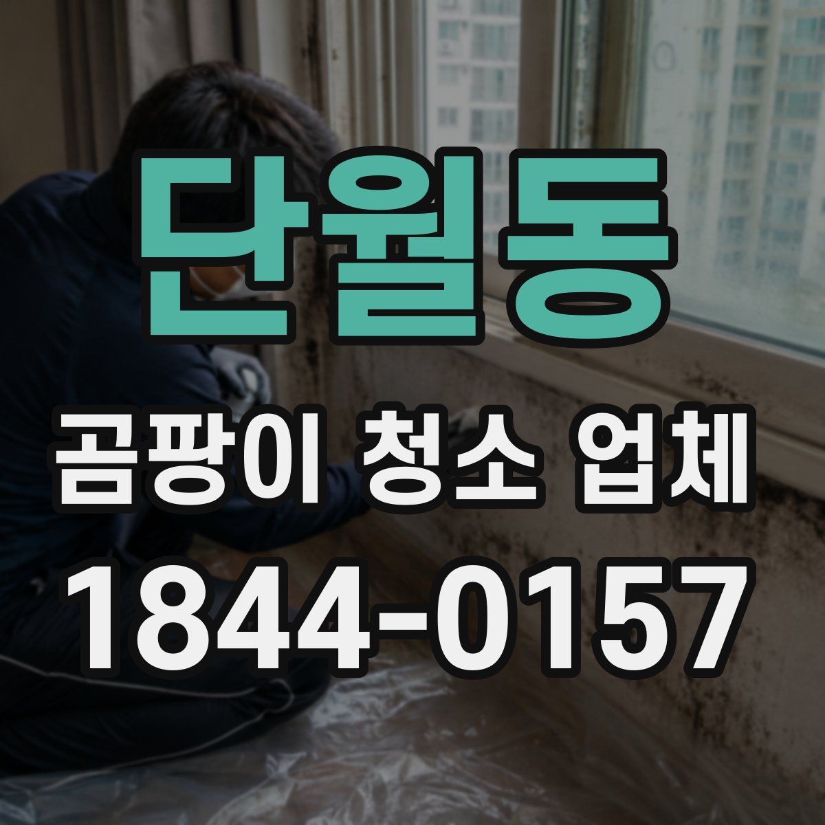 단월동 곰팡이 청소 업체