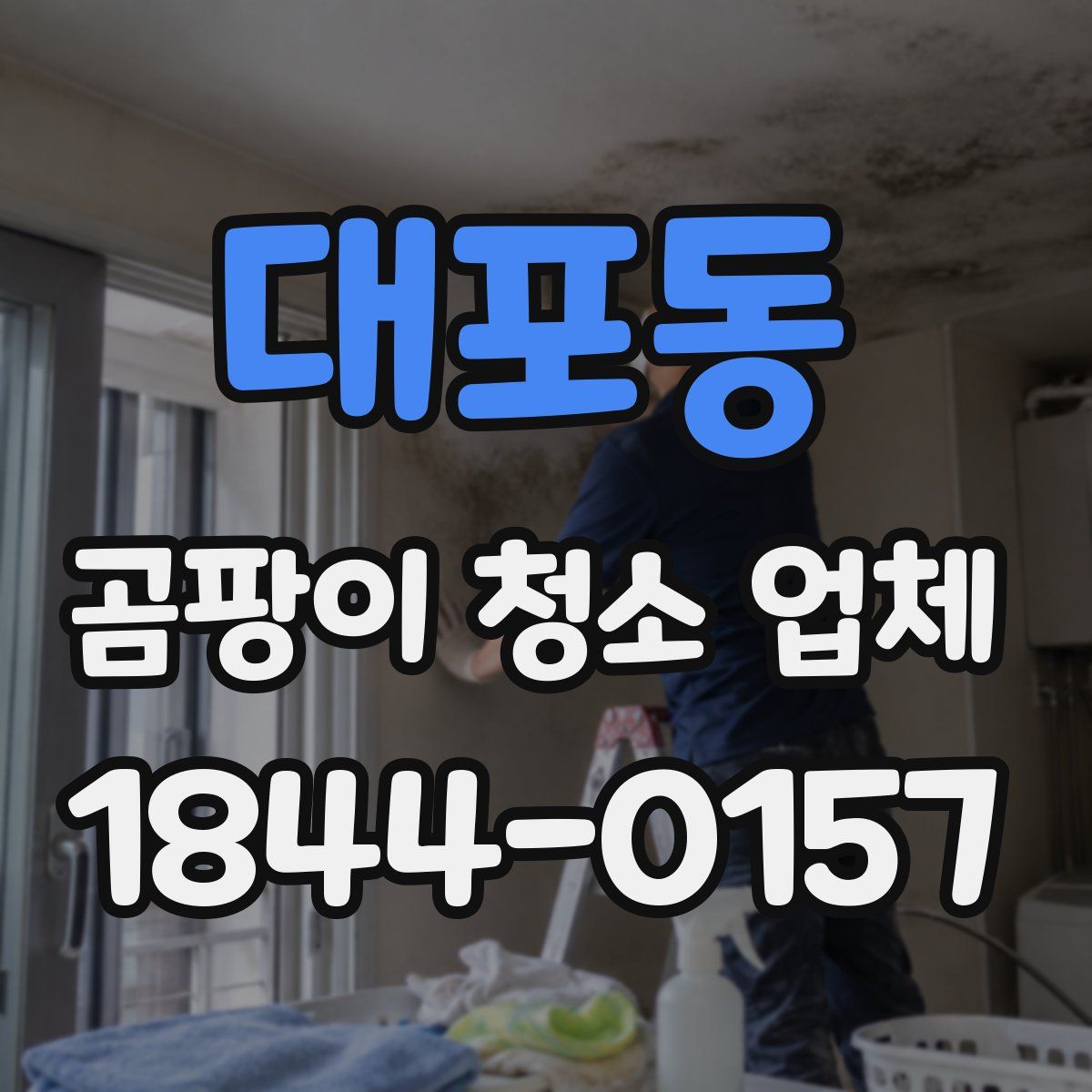 대포동 곰팡이 청소 업체