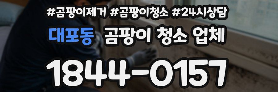 대포동 곰팡이 청소 업체
