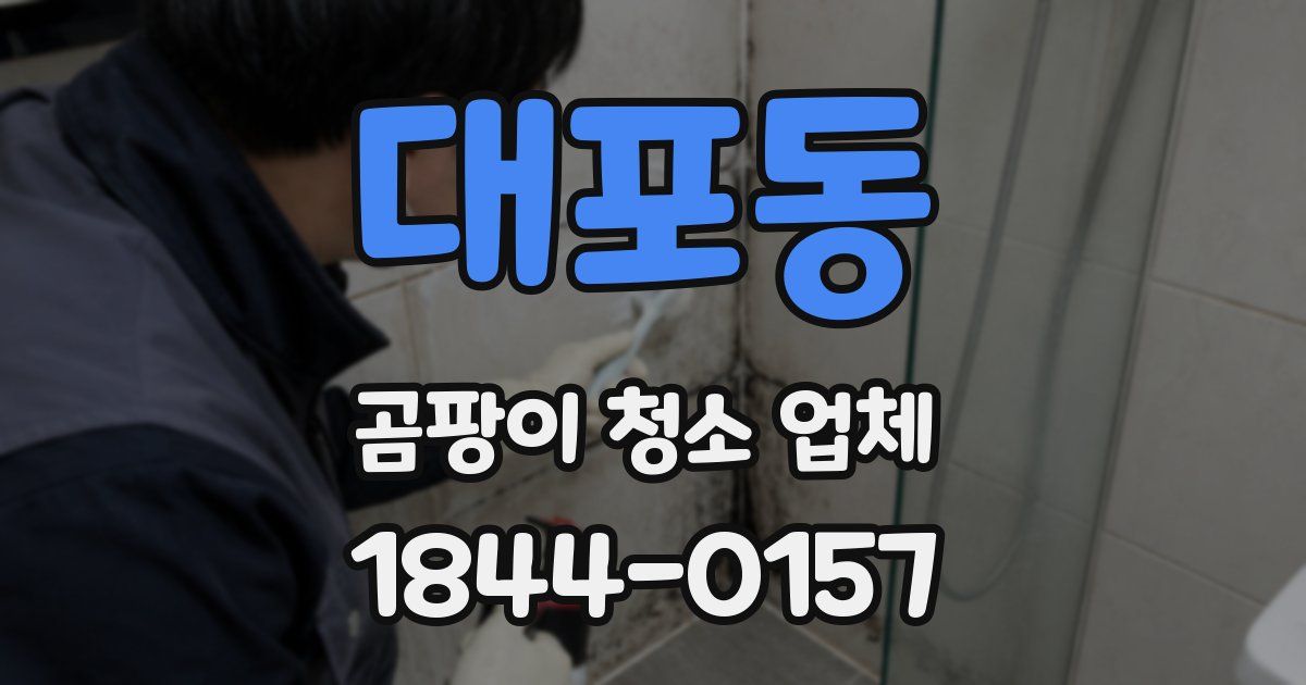 대포동 곰팡이 청소 업체