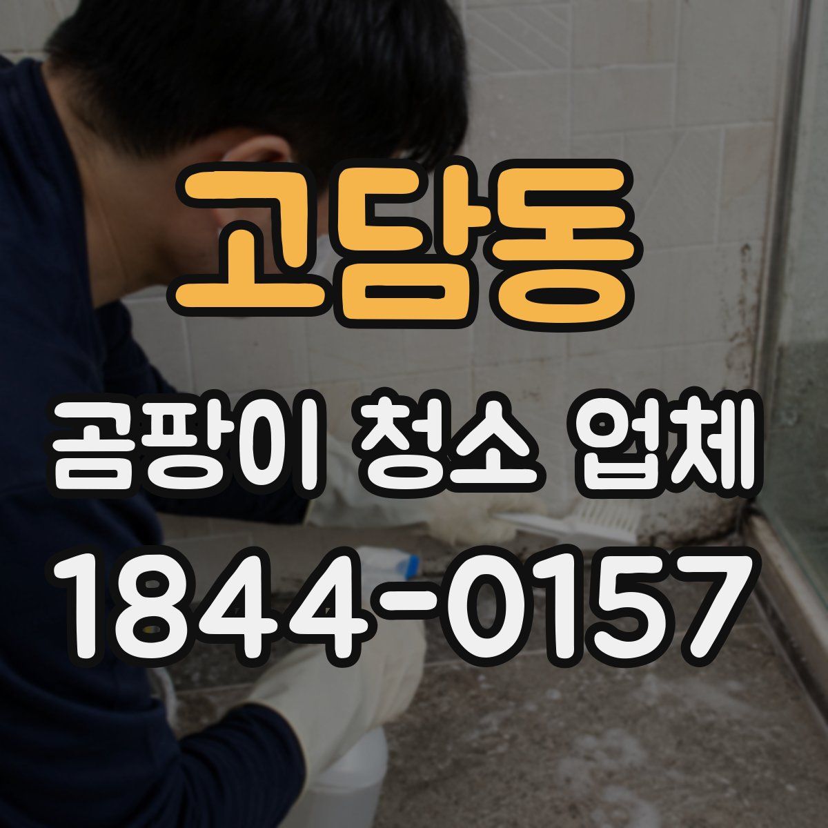 고담동 곰팡이 청소 업체