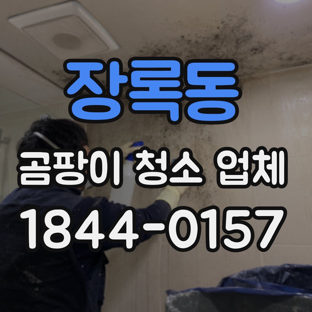 장록동 곰팡이 청소 업체