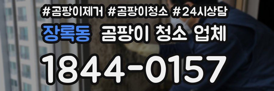 장록동 곰팡이 청소 업체