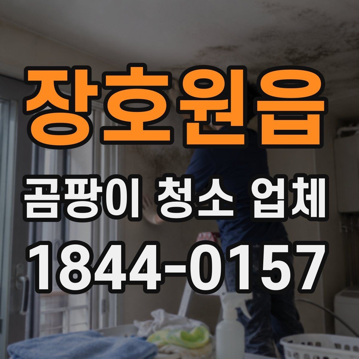 장호원읍 곰팡이 청소 업체 누수 의심 구간은 어떻게 먼저 살피나