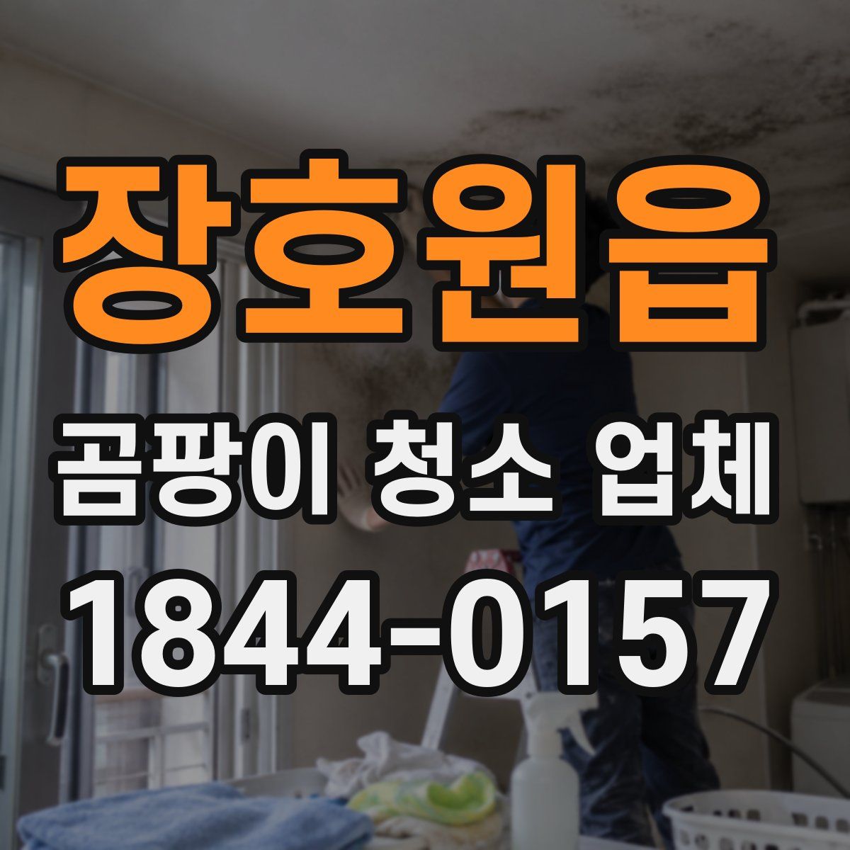 장호원읍 곰팡이 청소 업체