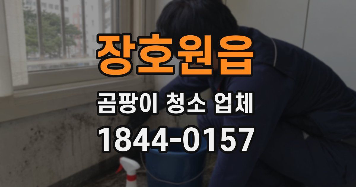 장호원읍 곰팡이 청소 업체