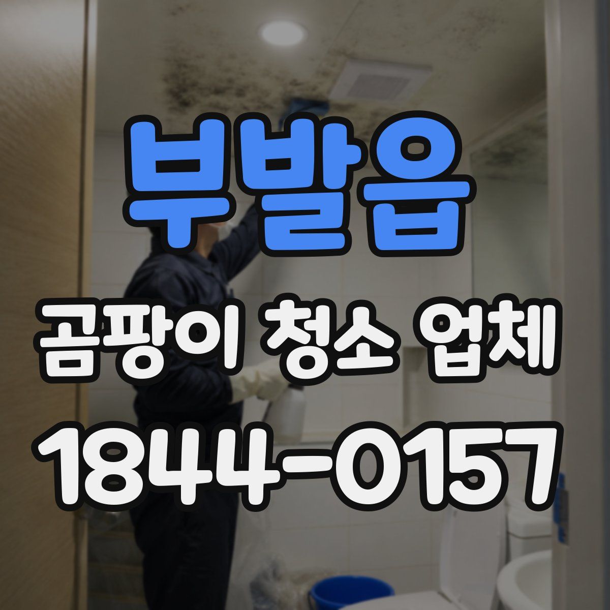 부발읍 곰팡이 청소 업체