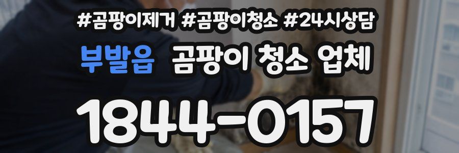 부발읍 곰팡이 청소 업체