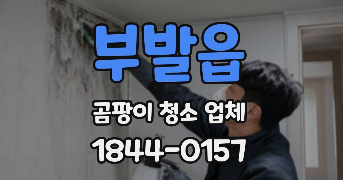 부발읍 곰팡이 청소 업체