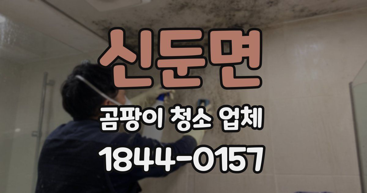 신둔면 곰팡이 청소 업체