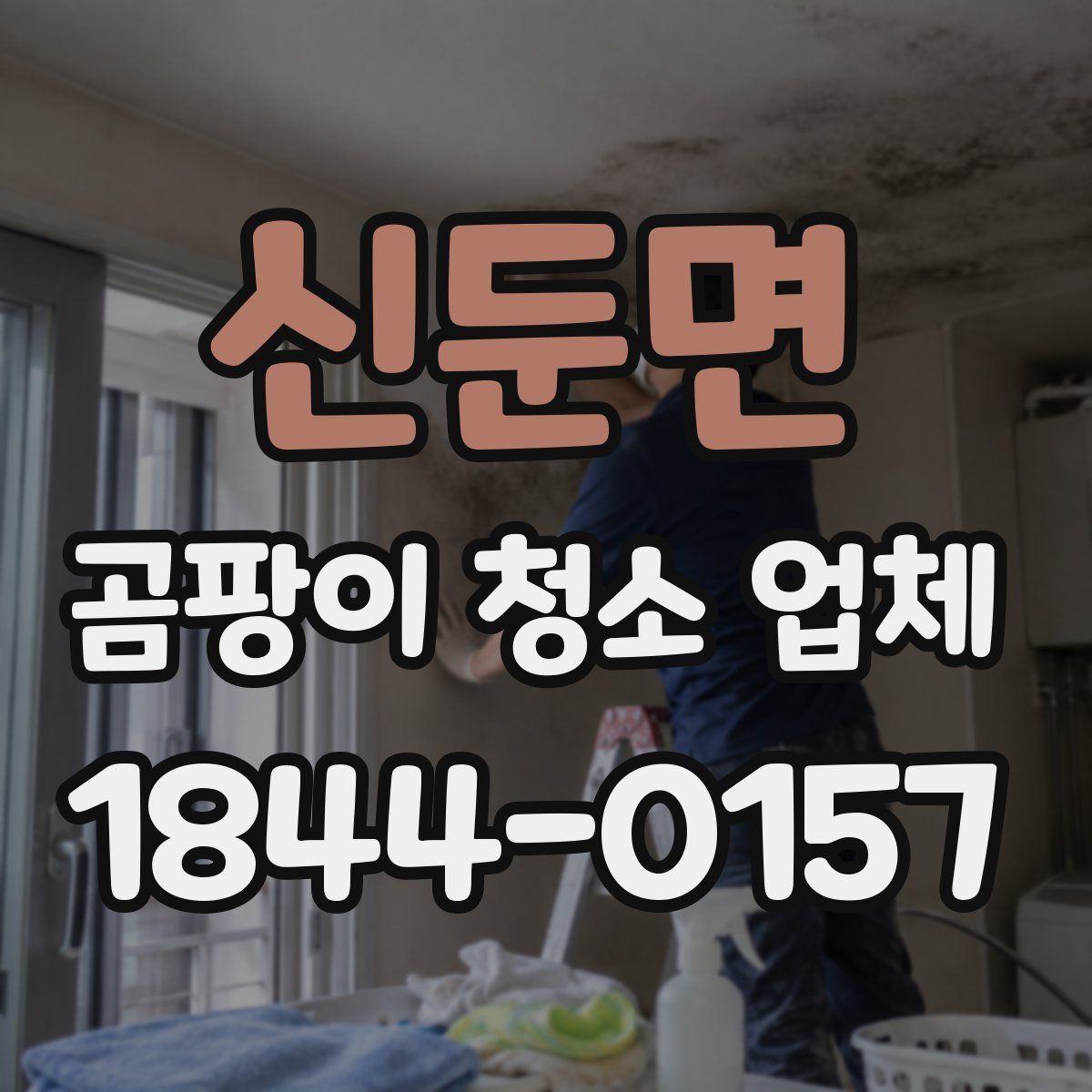 신둔면 곰팡이 청소 업체