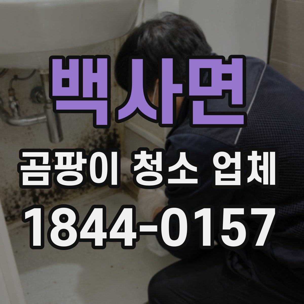 백사면 곰팡이 청소 업체