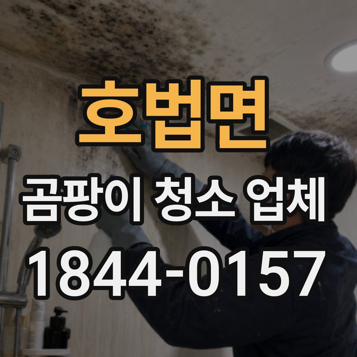 호법면 곰팡이 청소 업체