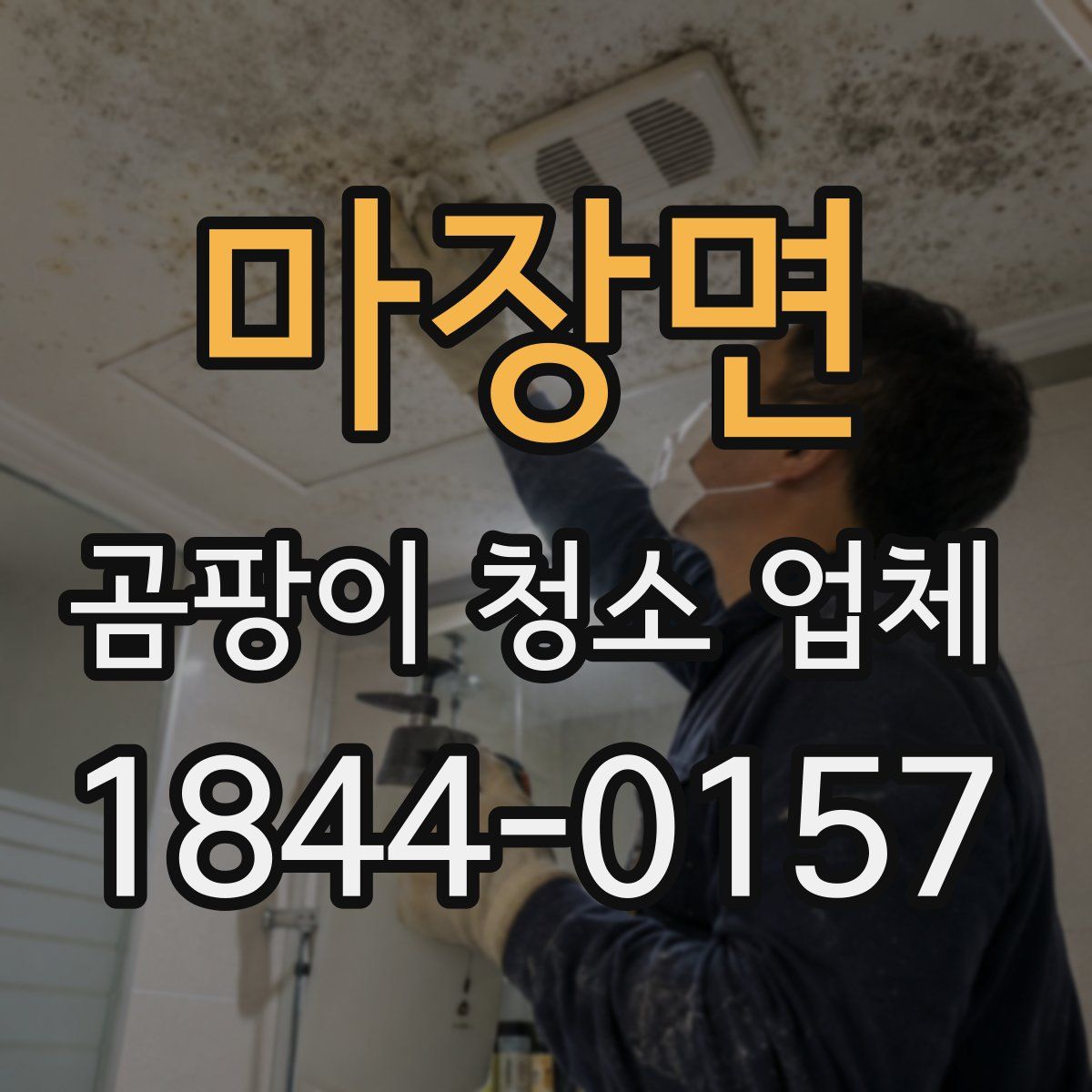 마장면 곰팡이 청소 업체