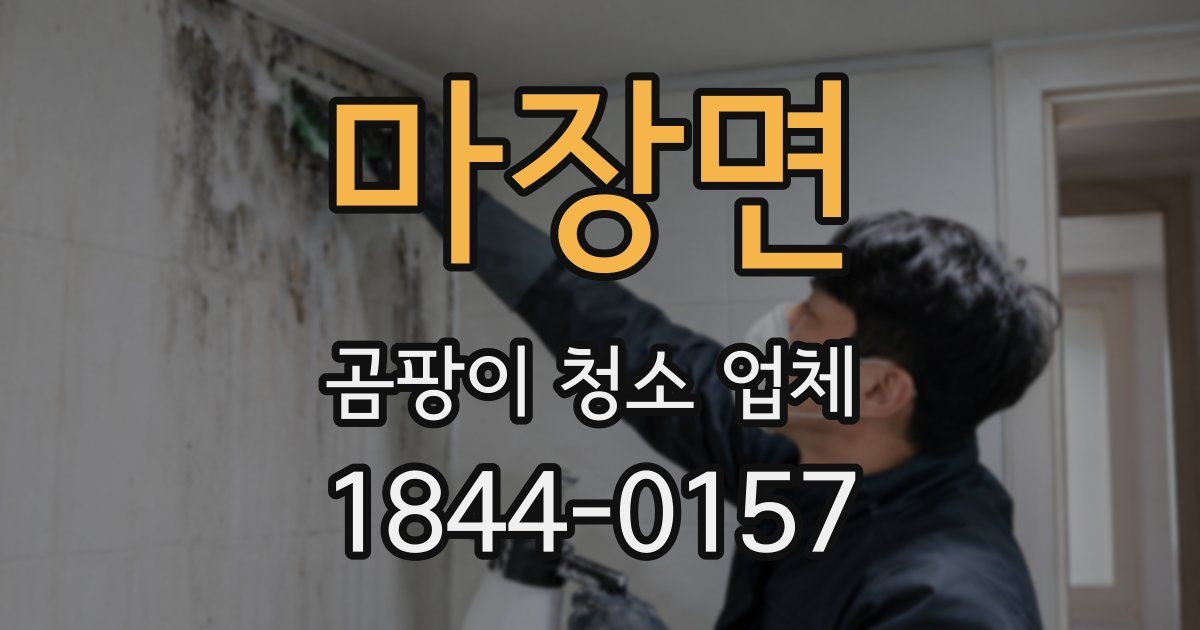 마장면 곰팡이 청소 업체