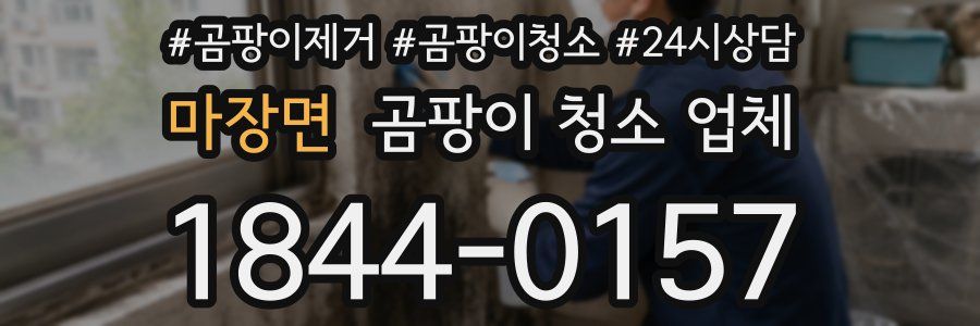 마장면 곰팡이 청소 업체