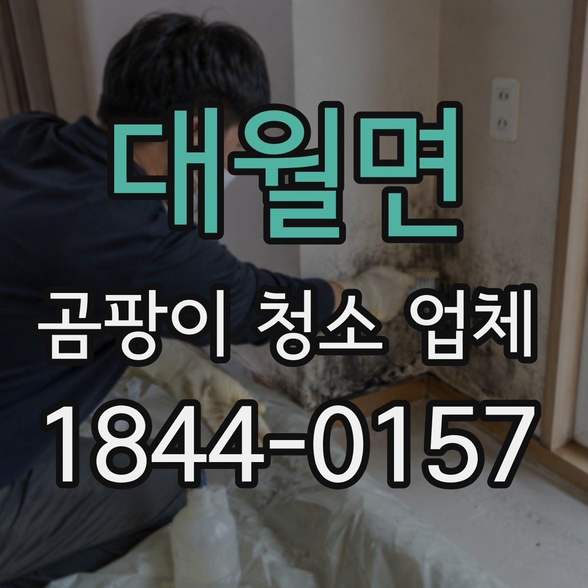 대월면 곰팡이 청소 업체